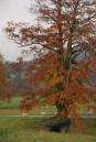 DSC_0619web.jpg