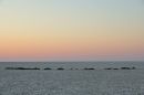 DSC_1313.JPG