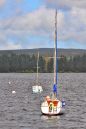 DSC_2079M.jpg