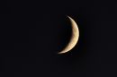 DSC_3227M_filtered.jpg