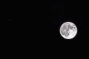 DSC_3297M.jpg