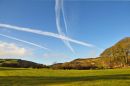 DSC_3318M.jpg