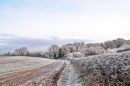 DSC_3356M2.jpg