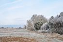 DSC_3360M.jpg