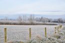 DSC_3392M.jpg