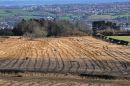 DSC_3626M.jpg