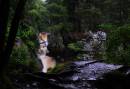 DSC_4254-small.jpg
