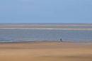 DSC_4324M.jpg