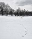DSC_4593.jpg