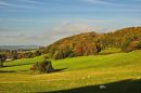 DSC_4731M.jpg