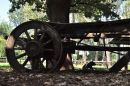 DSC_6425.JPG
