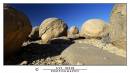 DSC_6456_A_copy.jpg