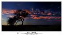 DSC_6784_A_1_copy.jpg
