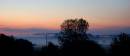 DSC_8470.JPG