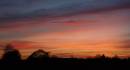 DSC_9832-2.jpg