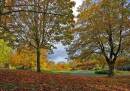 DSC_9856a.jpg