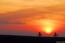DTK_6641.jpg