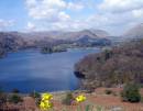 Daffodills_at_Grasmere.jpg