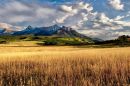Dallas_Divide-8331_web.jpg