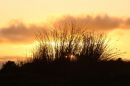Danby_Moor_29-10-2019_33.jpg