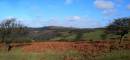 Dartmoor.jpg