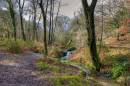 Dartmoor_STREAM_HDR_3.jpg