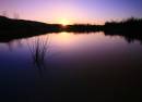 Dawn-Colors-1S.jpg