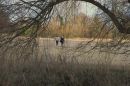 Dedham_Essex_Framed_by_nature.jpg