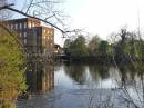 Dedham_Mill_Pond.jpg