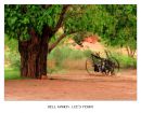DellRanch01a.jpg