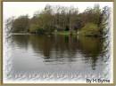 Distillary_Pond.JPG