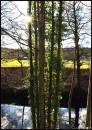 Down-by-the-Rverside-.jpg