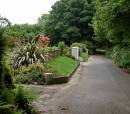 Down_The_Lane_-_Cornwall_-_9423.JPG