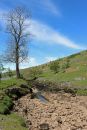 Dry-Wharfe.jpg
