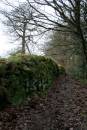 Dry_Stone_Wall_1.JPG