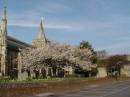 Dsc00576.jpg