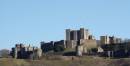 Dsc01118.jpg