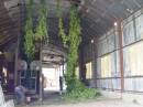 Dsc01636.jpg