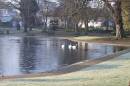 Duck_Pond.jpg