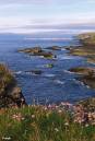 Dunnet_Head_from_Brims.jpg