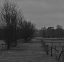 Earley_Morning.jpg
