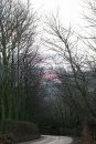 Early-Light.jpg