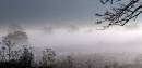 Early-morning-mist.jpg