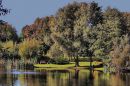 Early_Autumn_Colours.jpg
