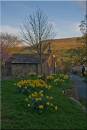 Early_Evening_At_Downham.jpg