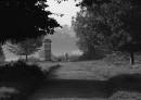 Early_Morning_walk.jpg