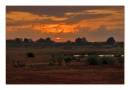 Early_morning_on_the_Tsavo.jpg