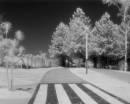 EfkeIR820_Parque_Cidade006edit.jpg