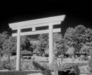 /gallery/data/2/thumbs/EfkeIR820_Parque_Cidade007edit.jpg