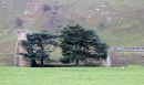 Ellerton_in_Swaledale_Priory_1.jpg